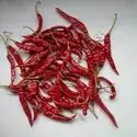 Dried Chillies & Pepper