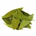 Bay Leaf