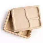 Biodegradable Tray