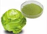 Cabbage Powder