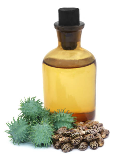 Castor Oil