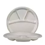 Disposable Plastic Plate