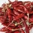 Dry Red Chilli