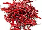 Guntur Dry Red Chilli