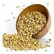 Coriander Seed