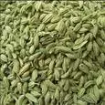 Organic Fennel Seeds