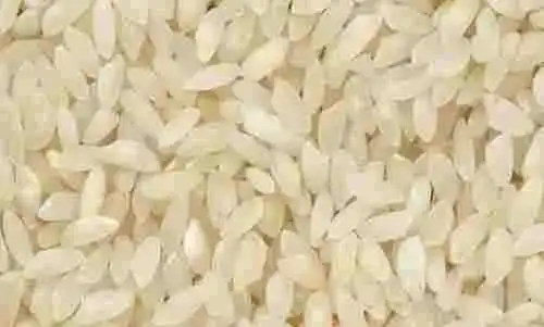 Samba Rice