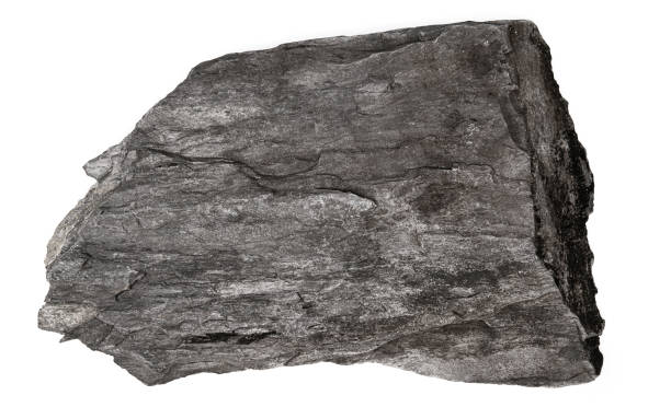 Sedimentary Stone
