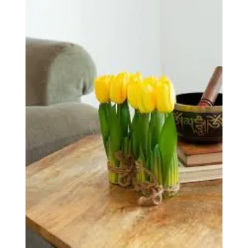 Yellow Tulip Flower