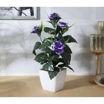 Purple Decorative Plants