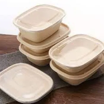  Biodegradable Container