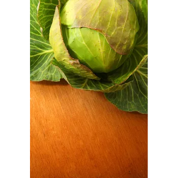 Natural  Cabbage