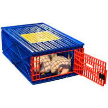 Chicken Transport Boxes