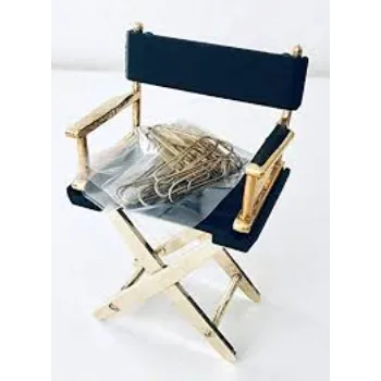  Director Chair