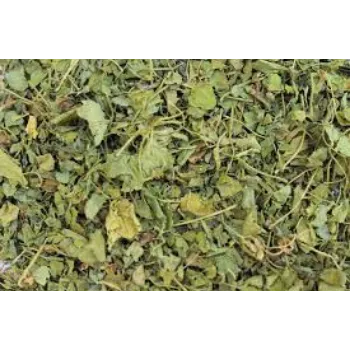 Fresh Dried Tulsi Leaves