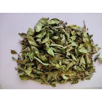 Fresh Dried Curry Leaves