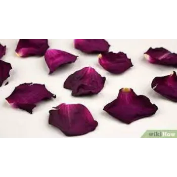 Dry Rose Petal