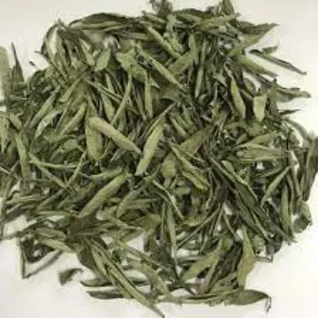 Fresh Dried Stevia Leaves