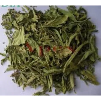 Fresh Dried Stevia Leaves