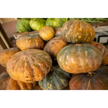 Fresh Pumpkin