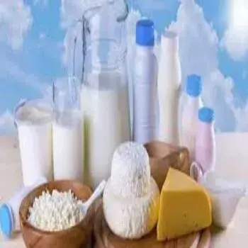 Milk Products