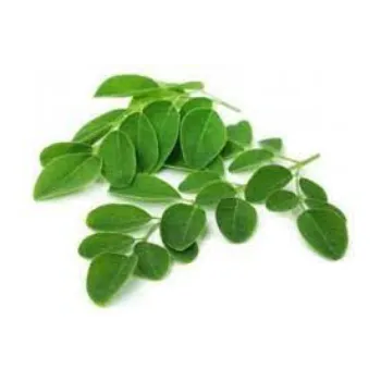 Dried Moringa Leaves