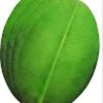 Paper Banana Leaf