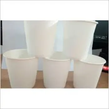   Plain Paper Cup