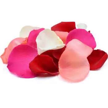 Organic Rose Petal 