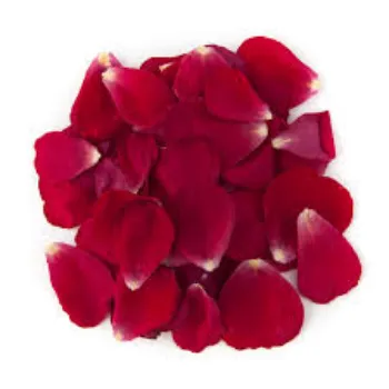 Red Rose Petal