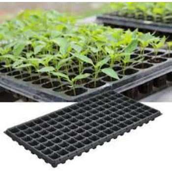 Seedling Trays 