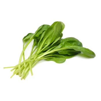  Fresh  Spinach