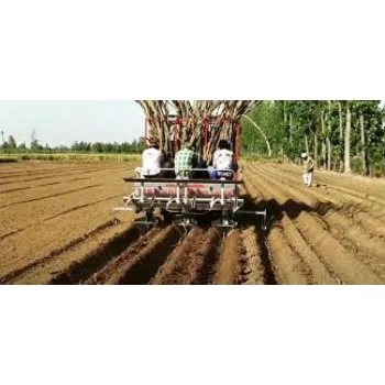 Sugarcane Planter Machine