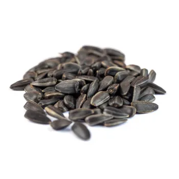  Sun Flower Seed