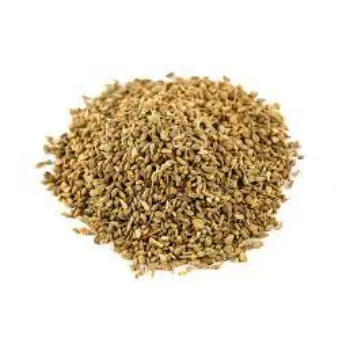  Thyme Seeds