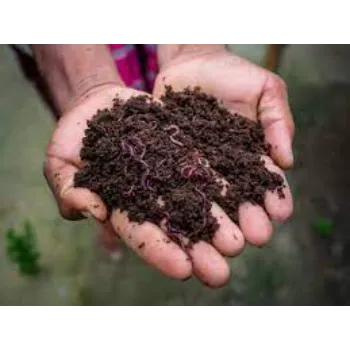  vermicompost