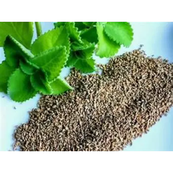 Ajwain