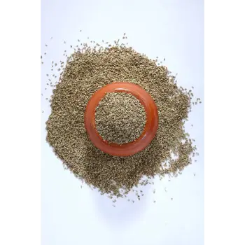 Natural Ajwain