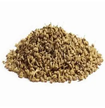 Fresh Ajwain