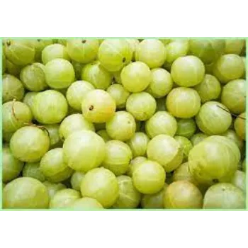 Natural Fresh Amla