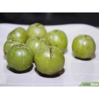 Organic Fresh Amla