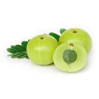 Organic Fresh Amla