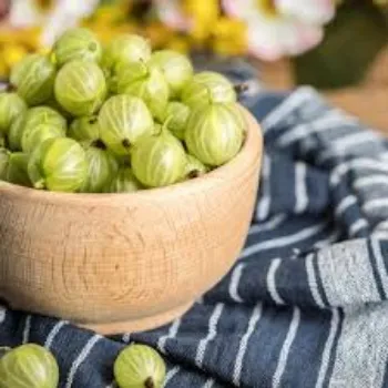 Organic Fresh Green Amla