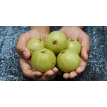 Organic Fresh Green Amla