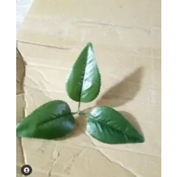 Artificial Leaf