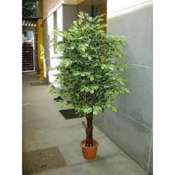 Artificial Indoor Plant