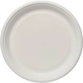  Bagasse Disposable Plate