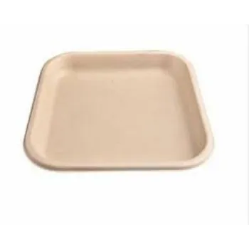 Bagasse Disposable Plate