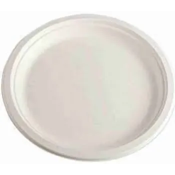 Bagasse Disposable Plate