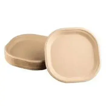 Bagasse Disposable Plate